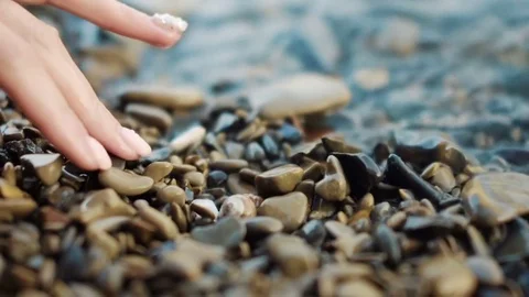 Women's hands take the cockleshell Stock Footage 80315746