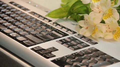 Women's hands typing on computer  keyboard Stock Footage 76927004