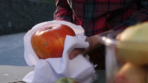 Women's hands wipe pumpkin with a white towel at the market. Hygiene. Stock Footage 139057426