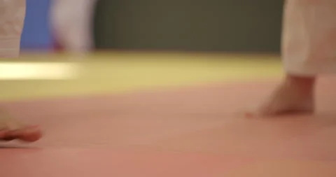 Women's judo training Stock Footage 227791564