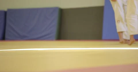 Women's judo training Stock Footage 227791820