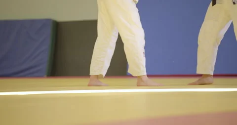 Women's judo training Stock Footage 227792733