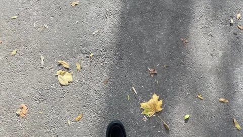 Womens legs in boots walking on fallen leaves in autumn park. Woman walks in Stock Footage 323921519