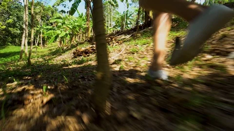Women's legs run through the forest or jungle. Frame selection Stock Footage 100544304