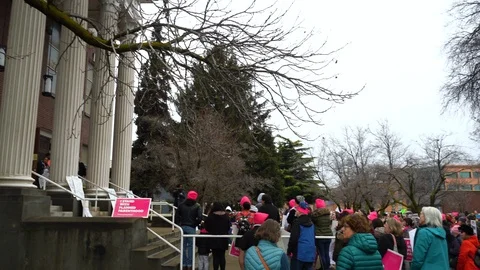Women's March Crowd 4K Stock Footage 101543520