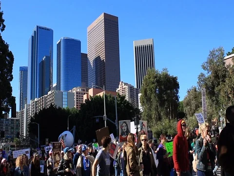 Women's March LA 2018 Vídeo Stock 84838708