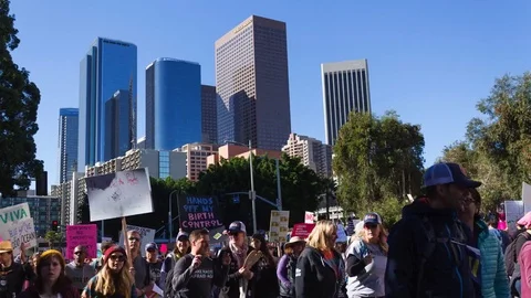 Women's March LA Time-lapse Vídeo Stock 84862591