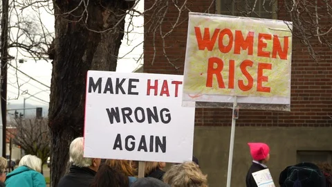 Women's March Signs Stock Footage 101543658