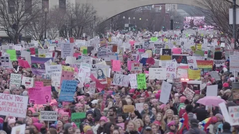 Womens March on Washington, Wide shot Stock Footage