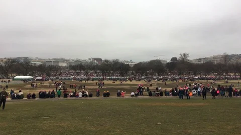 Women's March at White House (Wide Shot) Stock Footage