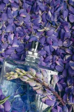 Women's perfume Stock Photos