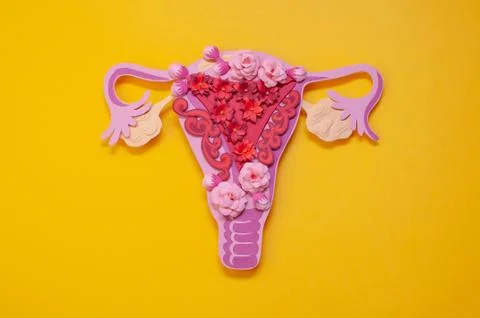 The women's reproductive system. The concept of endometriosis of the uterus. Stock Photos