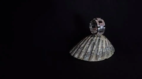 Women's silver ring. Stock Photos