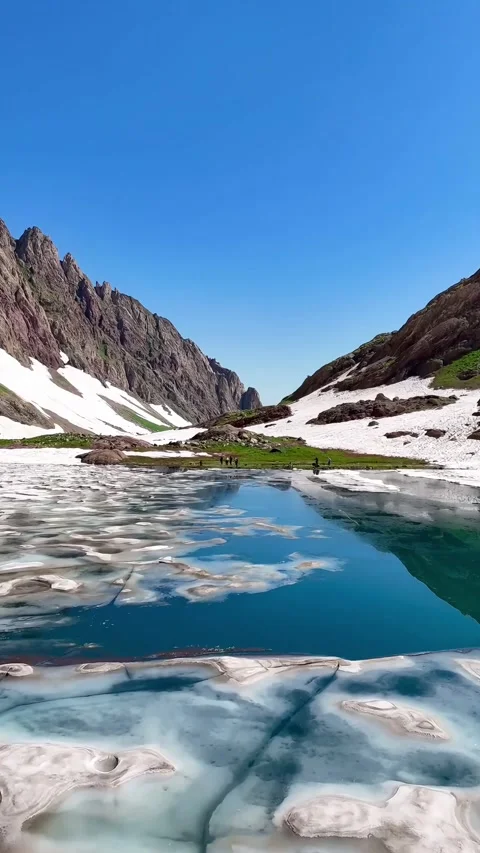 Wonder of Nature Video stock 296227274