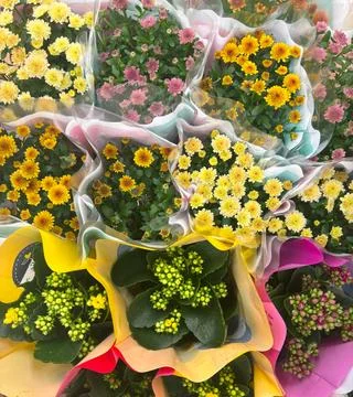 A wonderful assortment of different types of spring flowers in a bouquet Stock Photos