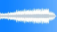 WONDERFUL CELLOS Main 2.48Stock Music