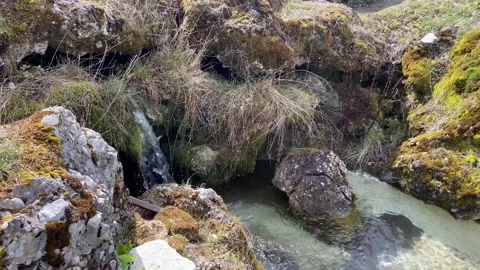 A wonderful combination of a spring and a small grotto in the castle park. Stock Footage 240291538