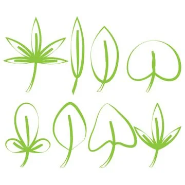 Wonderful design of different types of leaves Stock Illustration