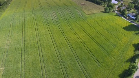 Wonderful fields on island in Denmark Video stock 113038491