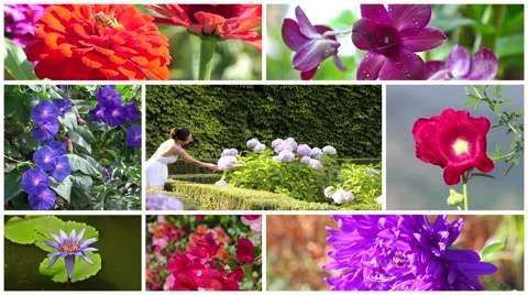 Wonderful flowers and romantic young woman collage Video stock 41831253