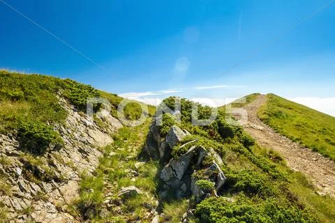 Wonderful landscape of Ukrainian Carpathian mountains Stock Photos