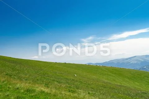 Wonderful landscape of Ukrainian Carpathian mountains Stock Photos