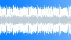 Wonderful Life (loop) (Dance EDM House) Stock Music