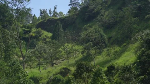 Wonderful Merapi Mountain in Yogyakarta Stock Footage 275871773