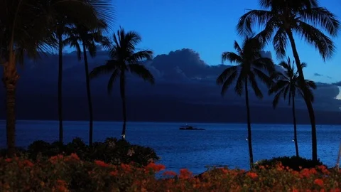 Wonderful palm trees and magic pacific ocean with boat in dusk near resort hyatt Stock Footage 101121907