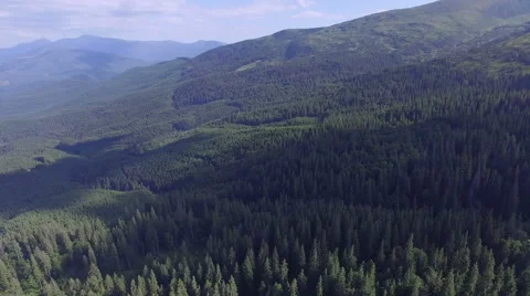 A wonderful panoramic view of the forest in the mountains with drone Stock Footage 67558009