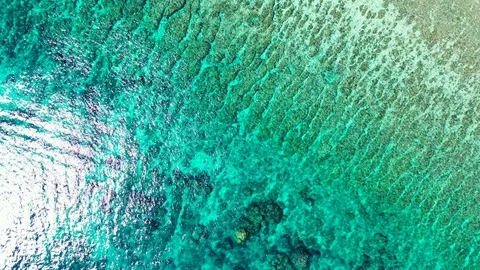 Wonderful pattern of algae and corals on seabed of tropical seashore with Stock Footage 120061178