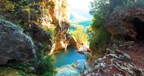 Wonderful Pristine Hidden Pond Inside Forest Stock Footage 130528953