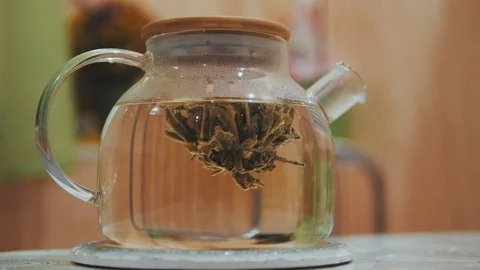 A wonderful process of flowering tea brewing in a glass teapot. Stock Footage 113066260