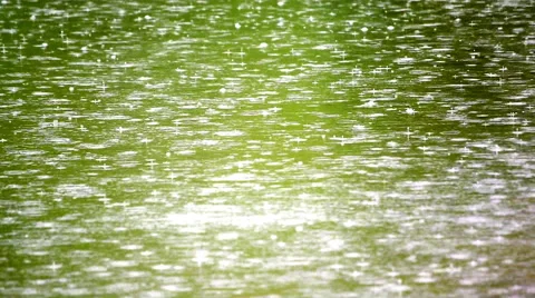 Wonderful slow motion of rain dropping on dark green water surface. Stock Footage 52769558