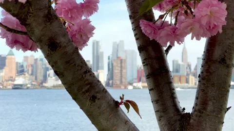 Wonderful spring in Manhattan.4K 動画素材 160938672