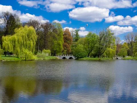 Wonderful spring nature view reflection on the lake surface Stock Photos