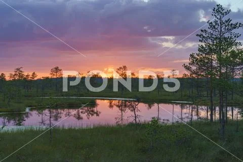 Wonderful sunset with colorful clouds over Suru Suursoo bog, Estonia Stock Photos