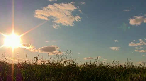 Wonderful sunset in field . Time lapse Stock Footage