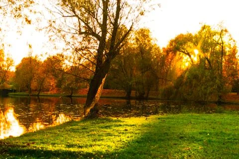 A wonderful sunset with rays through the trees in a park by the lake. Stock Photos
