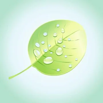 Wonderful tree leaf Stock Illustration