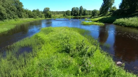Wonderful view of the forest and the river Stock Footage 156743801