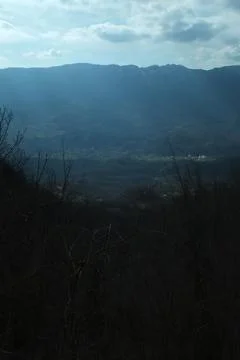 Wonderful view of mountains and trees Stock Photos