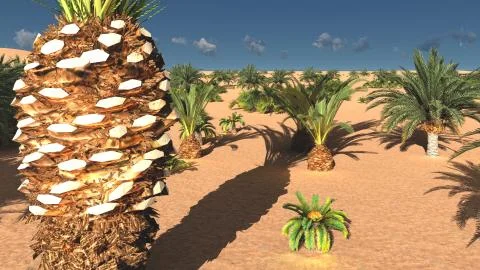 Wonderful view on Sahara desert at sundown 3d rendering 스톡 일러스트
