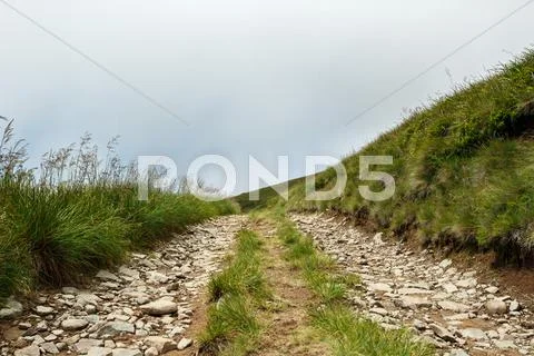 Wonderful view of Ukrainian Carpathian mountains in fog Stock Photos