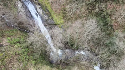 Wonderful waterfall Stock-Footage 263797734