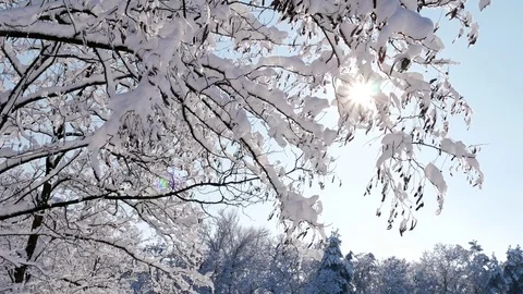 Wonderful winter time Видео 85118930