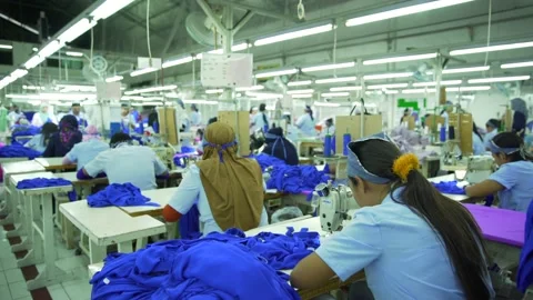 Wonen sewing in factory Stock Footage 210168596