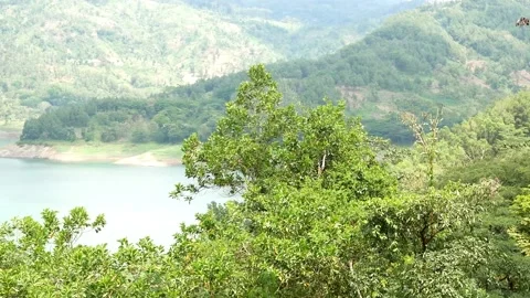 Wonorejo reservoir Stock Footage 207752130