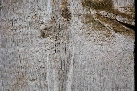 Wood abstract background Stock Photos