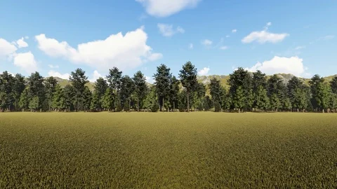 Wood and Grass, Forest Background, 3D Rendering Stock Footage 121687342